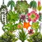 18 Pack Artificial Succulents Realistic Textured Fake Succulents Unpotted Artificial Cactus Plant Suitable for Garden Home Office Greening and Decoration